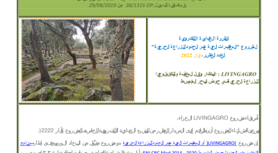 Edition n.10 May 2022