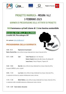 Presentation day of project activities - Flyer