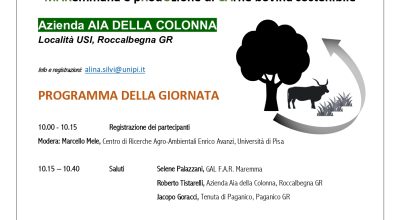 Test Upload Document