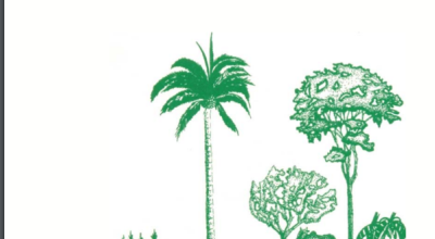 An Introduction to Agroforestry