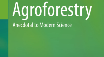 Prospects of Agroforestry for the Marginal Environments: Evidences from the United Arab Emirates